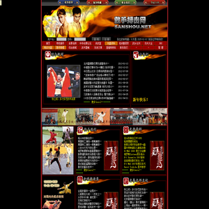 中国散手武术散打搏击网站 Chinese Kungfu-Sanshou Website