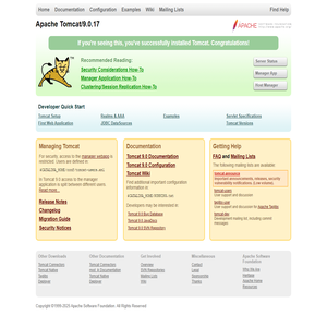 Apache Tomcat/9.0.17