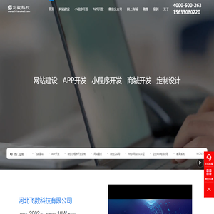石家庄网站建设_石家庄网站制作_石家庄网站建设公司_石家庄网站制作公司定制开发-联系飞数科技
