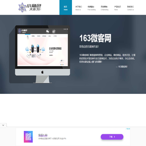 163微客网-网站、小程序定制开发及营销服务