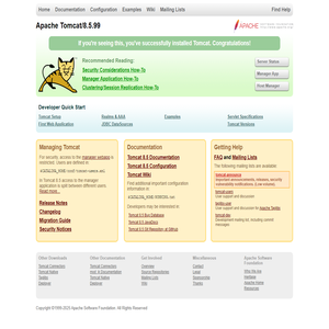 Apache Tomcat/8.5.99