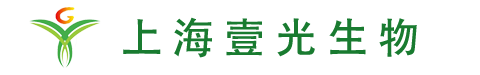 灭鼠公司、灭蟑螂公司、除四害公司、室内杀菌消毒、上海杀虫公司_壹光生物