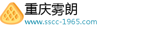 重庆雾朗科技有限公司