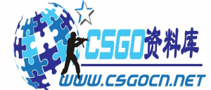 CSGO资料库 – 你想知道的CSGO资料都在这里