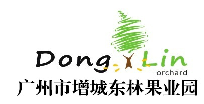 广州市增城东林果业园 摘荔枝 增城荔枝 增城荔枝园 增城摘荔枝 广州周边摘荔枝 挂绿荔枝 桂味荔枝 糯米糍荔枝 甜岩荔枝 妃子笑荔枝 增城荔枝一日游