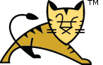 Apache Tomcat/8.5.55