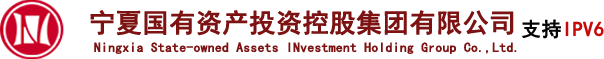 宁夏国有资产投资控股集团有限公司