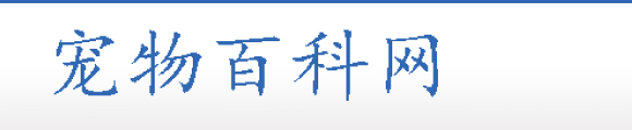 宠物百科网-宠物训练技巧,宠物饮食科普,宠物百科大全,宠物养护知识